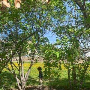 Meet your Posher, Fatimah